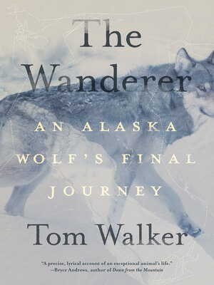 cover image of The Wanderer